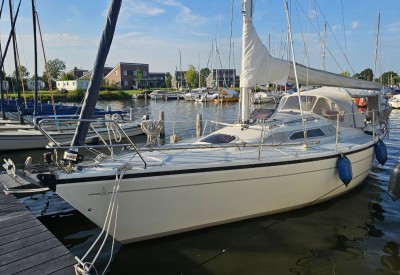 20250812_185017.jpg